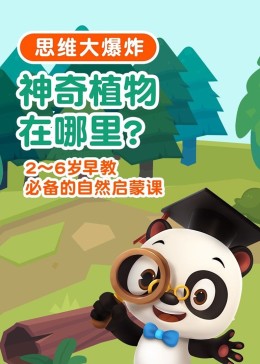 网络时代涉黄问题的警示与反思，在线黄色漫画的探讨与自省